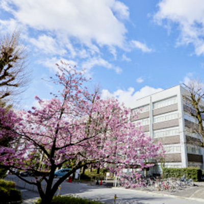 京都大学